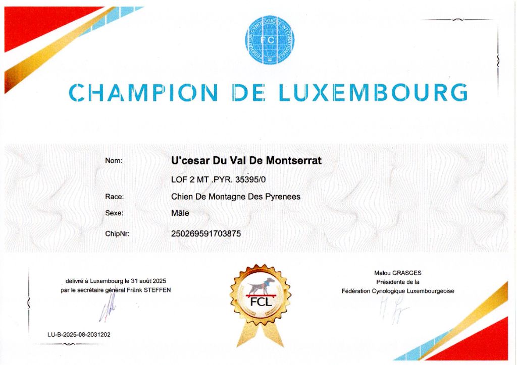 Beau début de parcours en expositions